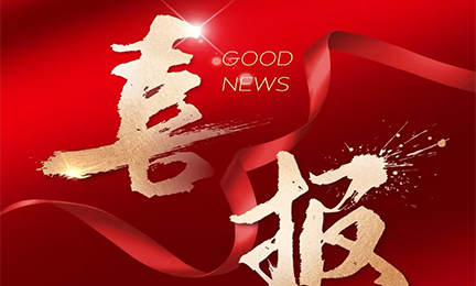 喜报丨星空·官方端在线登入_星空(中国)入选2024粤港澳大湾区企业创新力榜单